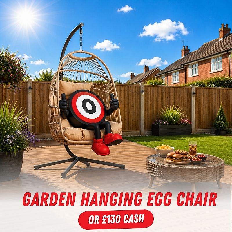 Hanging Egg Chair or Cash